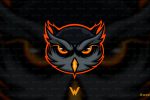 premade owl logo | premade Owl mascot logo